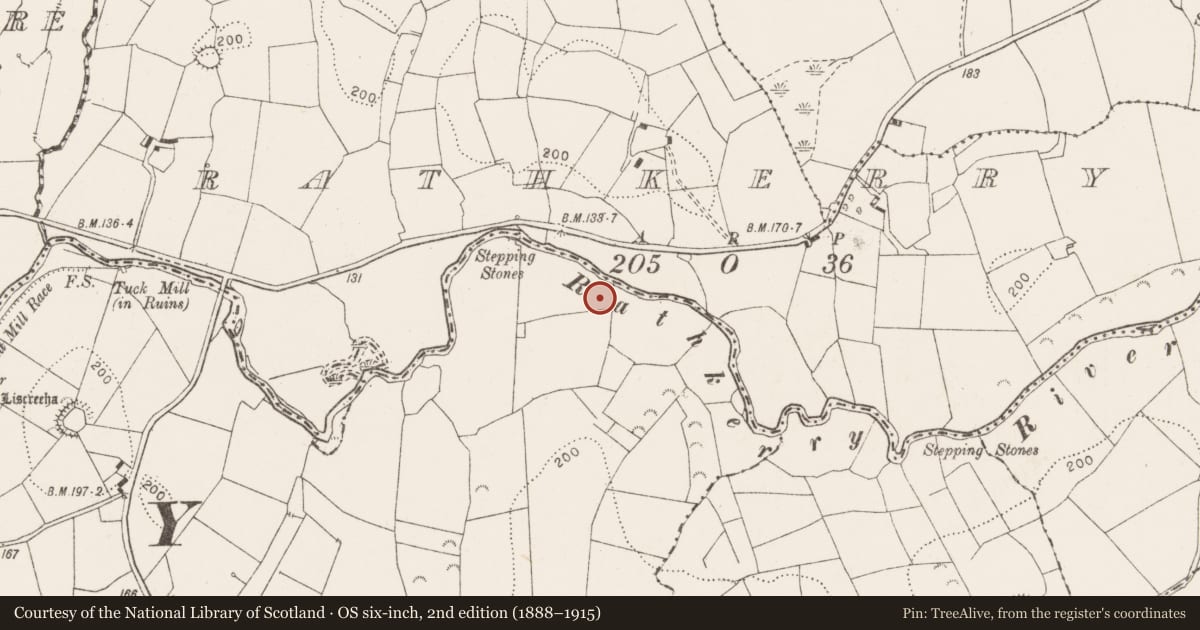 Ordnance Survey six-inch map, 2nd edition (1888–1915) covering the location of Road - road/trackway, Ballymacooda, County Clare, with a pin at the register's coordinates