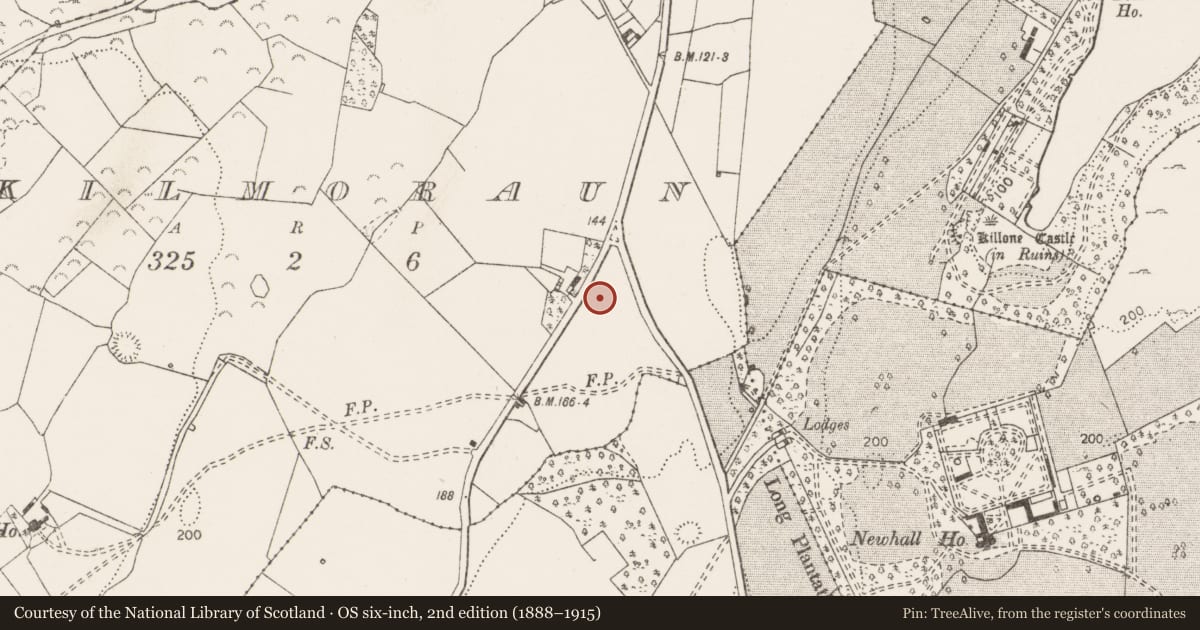 Ordnance Survey six-inch map, 2nd edition (1888–1915) covering the location of Ringfort - rath, Kilmoraun, County Clare, with a pin at the register's coordinates
