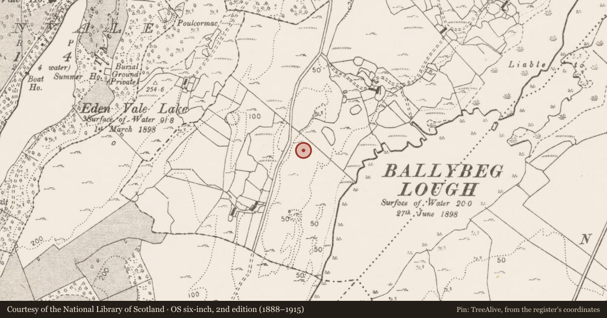Ordnance Survey six-inch map, 2nd edition (1888–1915) covering the location of Enclosure, Ballybeg, County Clare, with a pin at the register's coordinates