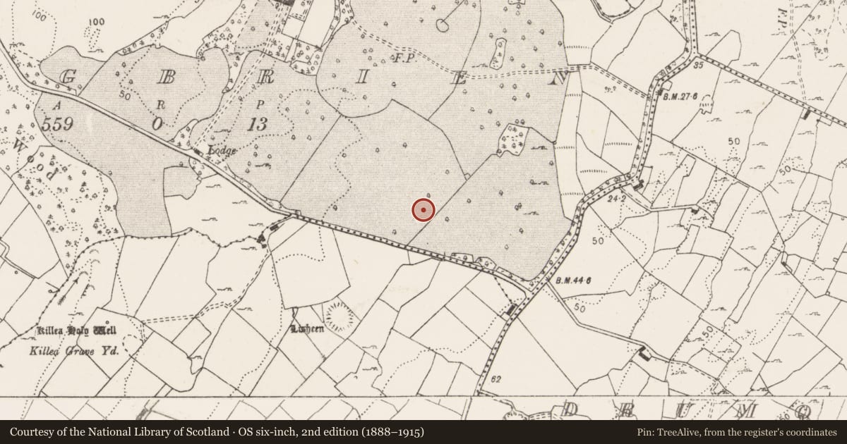Ordnance Survey six-inch map, 2nd edition (1888–1915) covering the location of Fulacht fia, Cragbrien, County Clare, with a pin at the register's coordinates