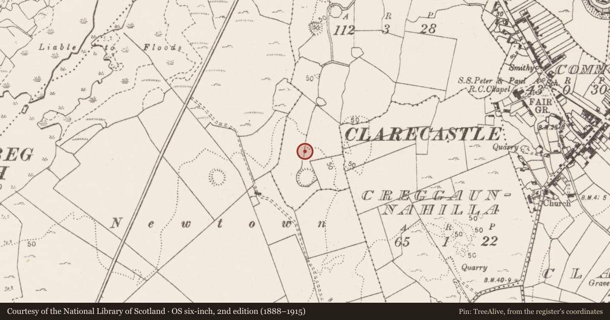 Ordnance Survey six-inch map, 2nd edition (1888–1915) covering the location of Excavation - miscellaneous, Ballaghafadda East, County Clare, with a pin at the register's coordinates