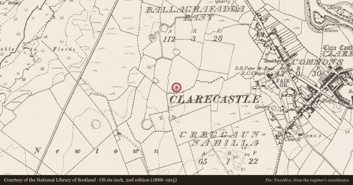 Ordnance Survey six-inch map, 2nd edition (1888–1915) covering the location of Pit-burial, Ballaghafadda East, County Clare, with a pin at the register's coordinates
