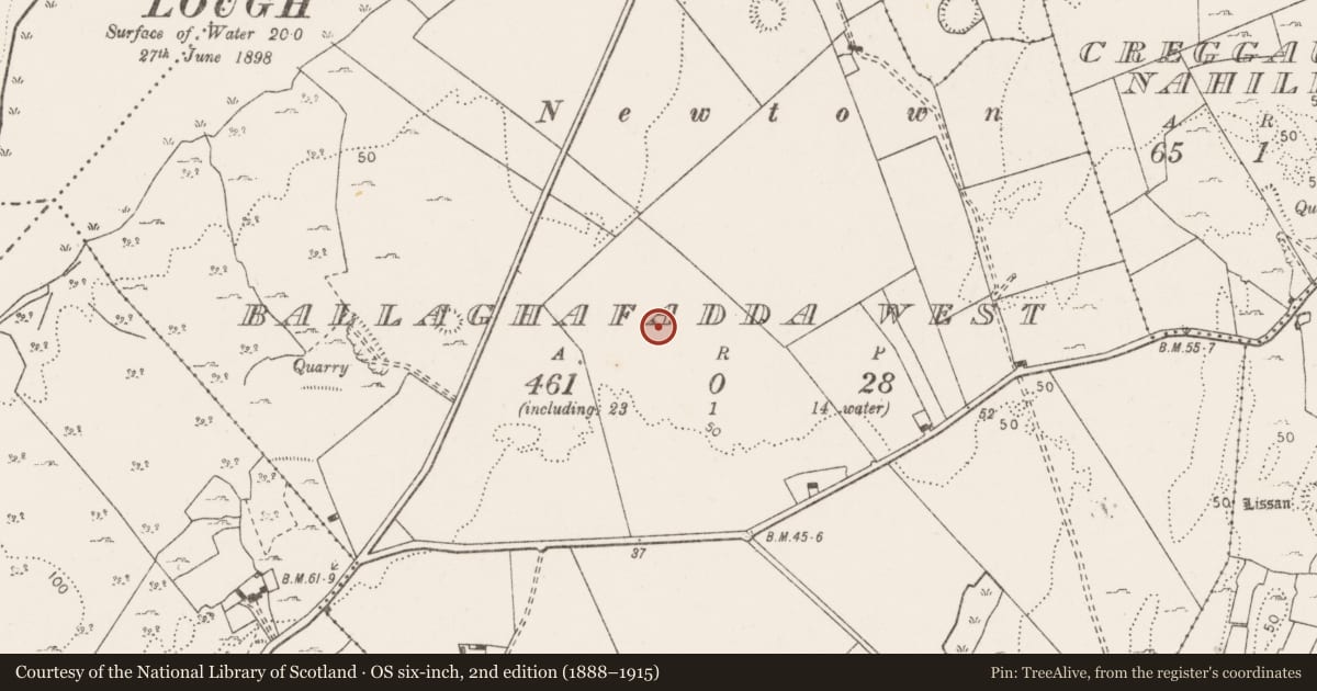 Ordnance Survey six-inch map, 2nd edition (1888–1915) covering the location of Ring-ditch, Ballaghafadda West, County Clare, with a pin at the register's coordinates