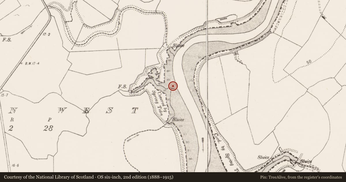 Ordnance Survey six-inch map, 2nd edition (1888–1915) covering the location of Road - class 3 togher, Lissan West, River Fergus, County Clare, with a pin at the register's coordinates