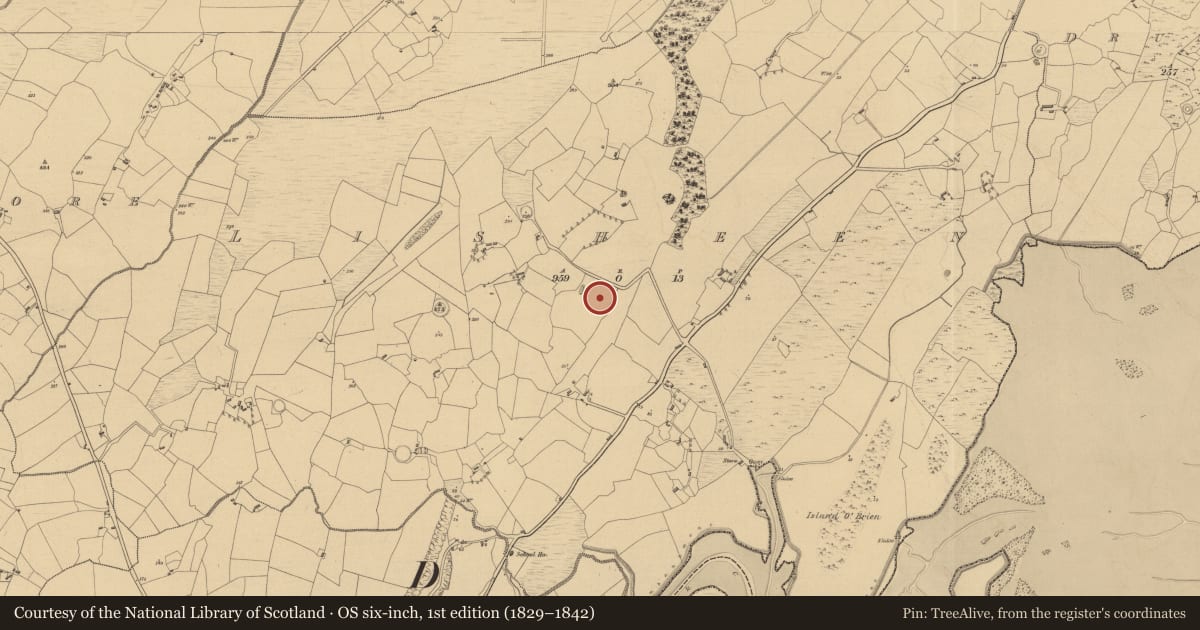 Ordnance Survey six-inch map, 1st edition (1829–1842) covering the location of Ringfort - rath, Lisheen, County Clare, with a pin at the register's coordinates