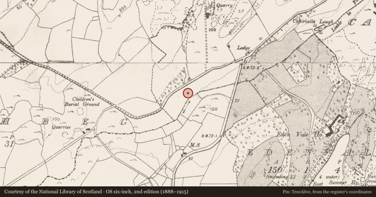 Ordnance Survey six-inch map, 2nd edition (1888–1915) covering the location of Ringfort - rath, Cahircalla More, County Clare, with a pin at the register's coordinates