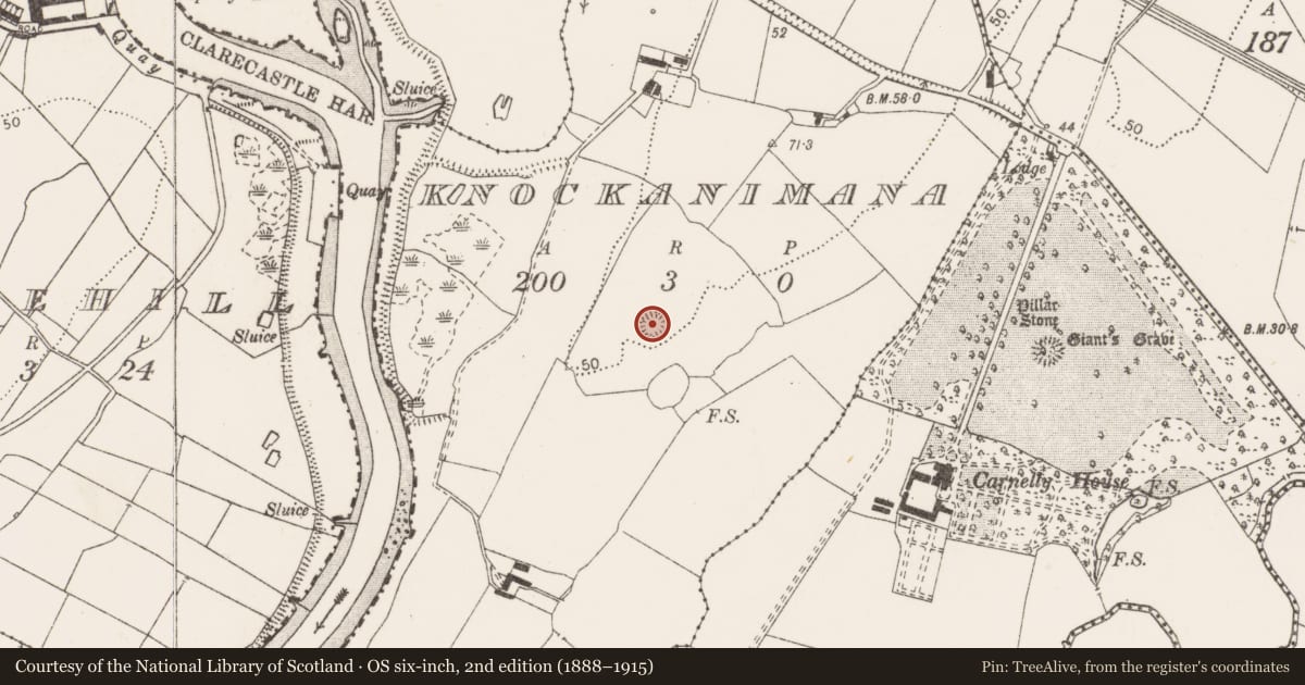 Ordnance Survey six-inch map, 2nd edition (1888–1915) covering the location of Ringfort - rath, Knockanimana, County Clare, with a pin at the register's coordinates
