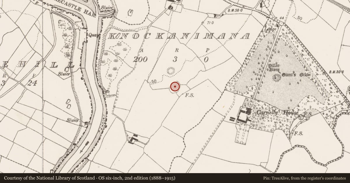 Ordnance Survey six-inch map, 2nd edition (1888–1915) covering the location of Ringfort - rath, Knockanimana, County Clare, with a pin at the register's coordinates