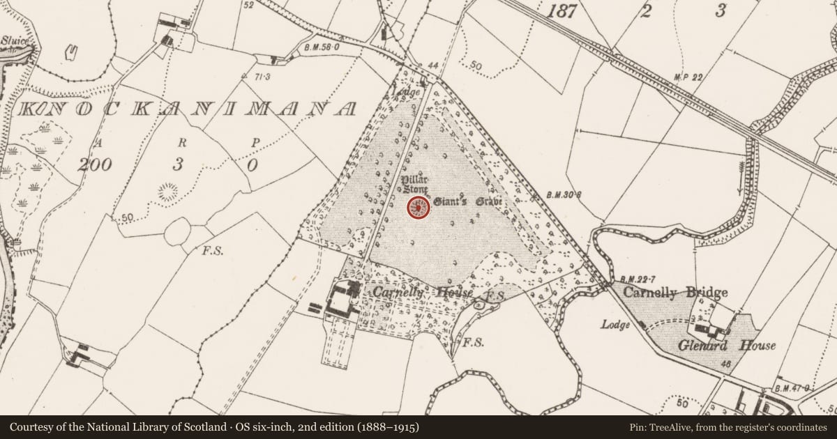 Ordnance Survey six-inch map, 2nd edition (1888–1915) covering the location of Barrow - ring-barrow, Carrownanelly, County Clare, with a pin at the register's coordinates