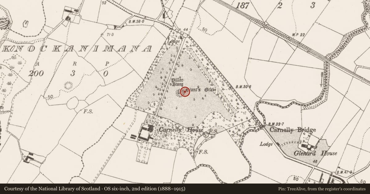 Ordnance Survey six-inch map, 2nd edition (1888–1915) covering the location of Standing stone, Carrownanelly, County Clare, with a pin at the register's coordinates