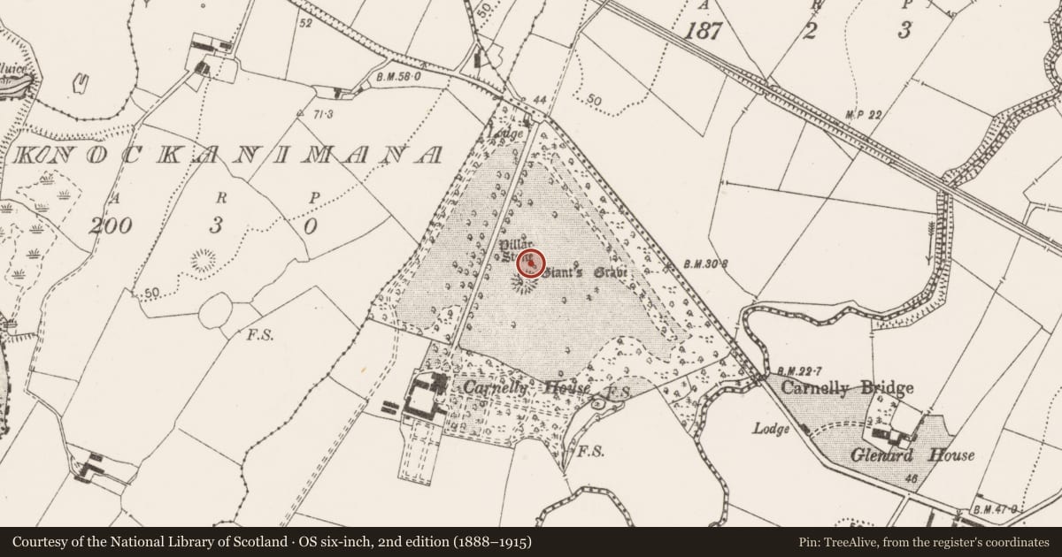 Ordnance Survey six-inch map, 2nd edition (1888–1915) covering the location of Megalithic structure, Carrownanelly, County Clare, with a pin at the register's coordinates