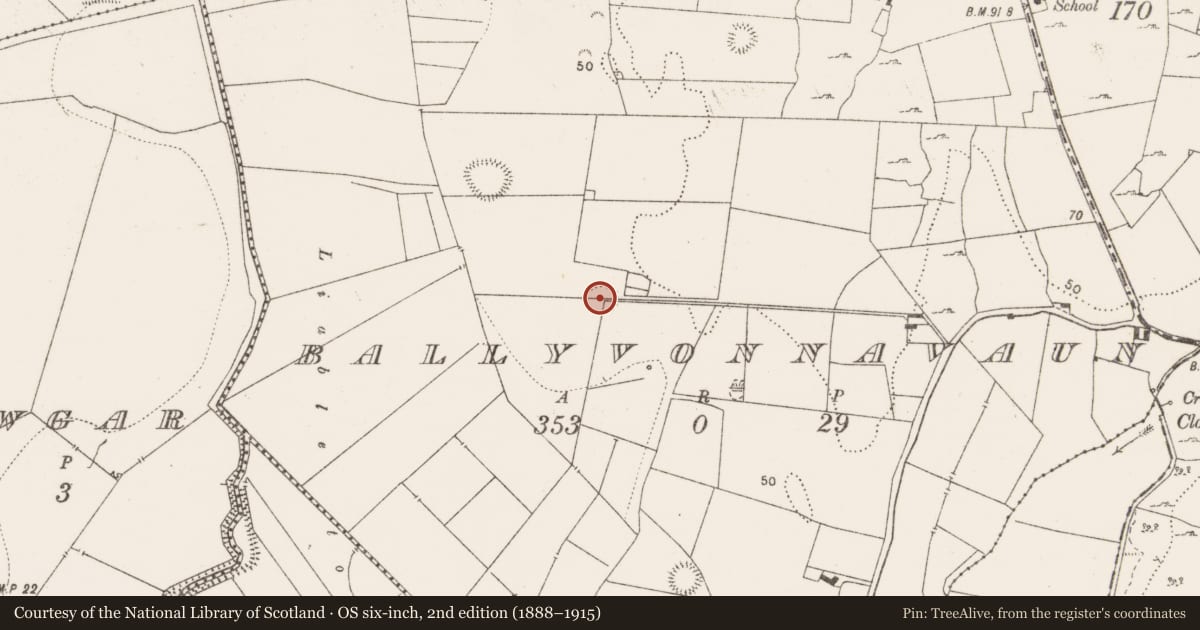 Ordnance Survey six-inch map, 2nd edition (1888–1915) covering the location of Enclosure, Ballyvonnavaun, County Clare, with a pin at the register's coordinates