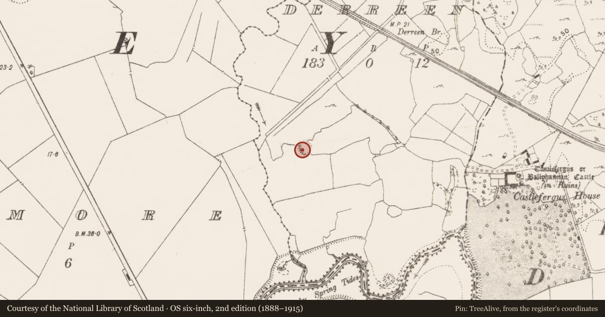 Ordnance Survey six-inch map, 2nd edition (1888–1915) covering the location of Enclosure, Derreen, County Clare, with a pin at the register's coordinates