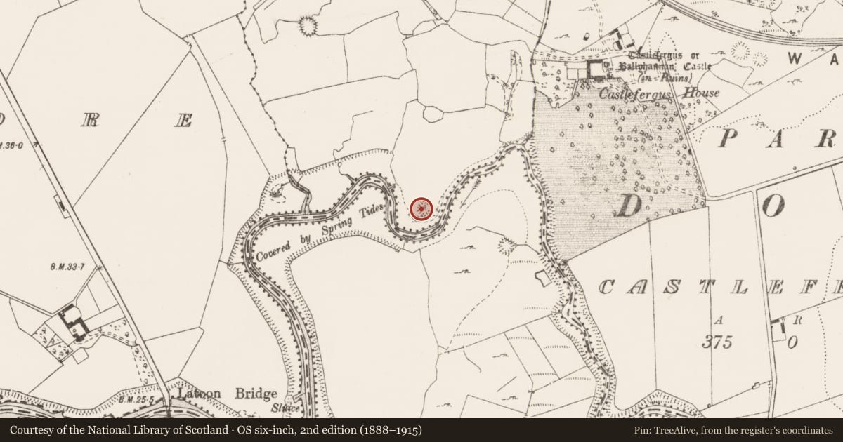 Ordnance Survey six-inch map, 2nd edition (1888–1915) covering the location of Enclosure, Derreen, County Clare, with a pin at the register's coordinates
