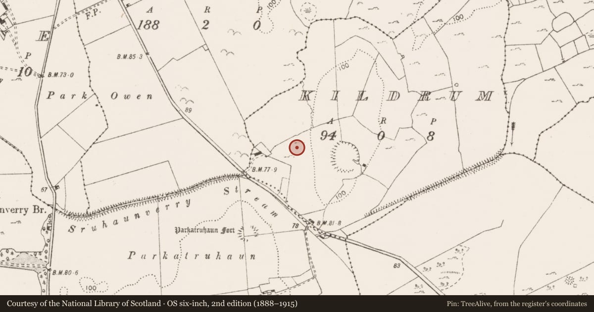 Ordnance Survey six-inch map, 2nd edition (1888–1915) covering the location of Burial ground, Kildrum, County Clare, with a pin at the register's coordinates