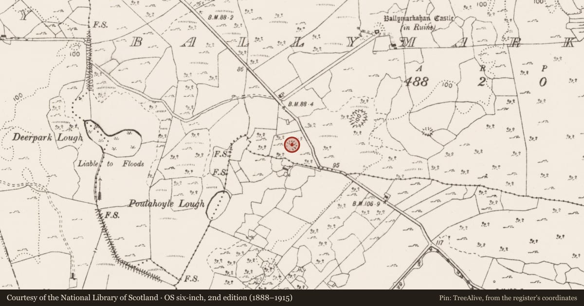 Ordnance Survey six-inch map, 2nd edition (1888–1915) covering the location of Enclosure, Ballymarkahan, County Clare, with a pin at the register's coordinates