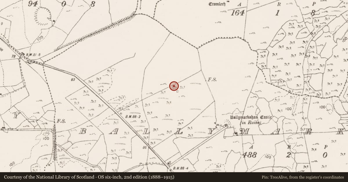 Ordnance Survey six-inch map, 2nd edition (1888–1915) covering the location of Enclosure, Ballymarkahan, County Clare, with a pin at the register's coordinates