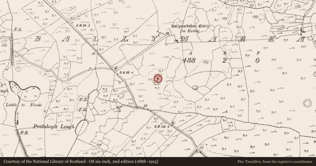 Ordnance Survey six-inch map, 2nd edition (1888–1915) covering the location of Enclosure, Ballymarkahan, County Clare, with a pin at the register's coordinates