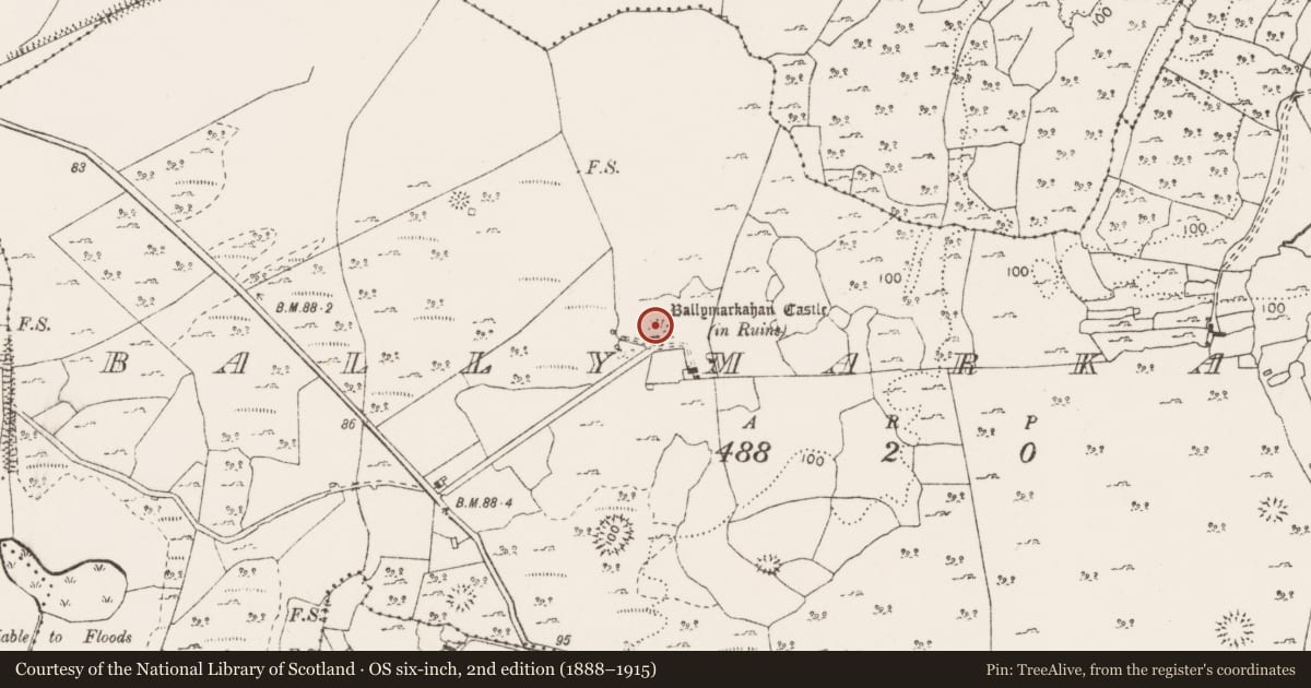 Ordnance Survey six-inch map, 2nd edition (1888–1915) covering the location of Earthwork, Ballymarkahan, County Clare, with a pin at the register's coordinates
