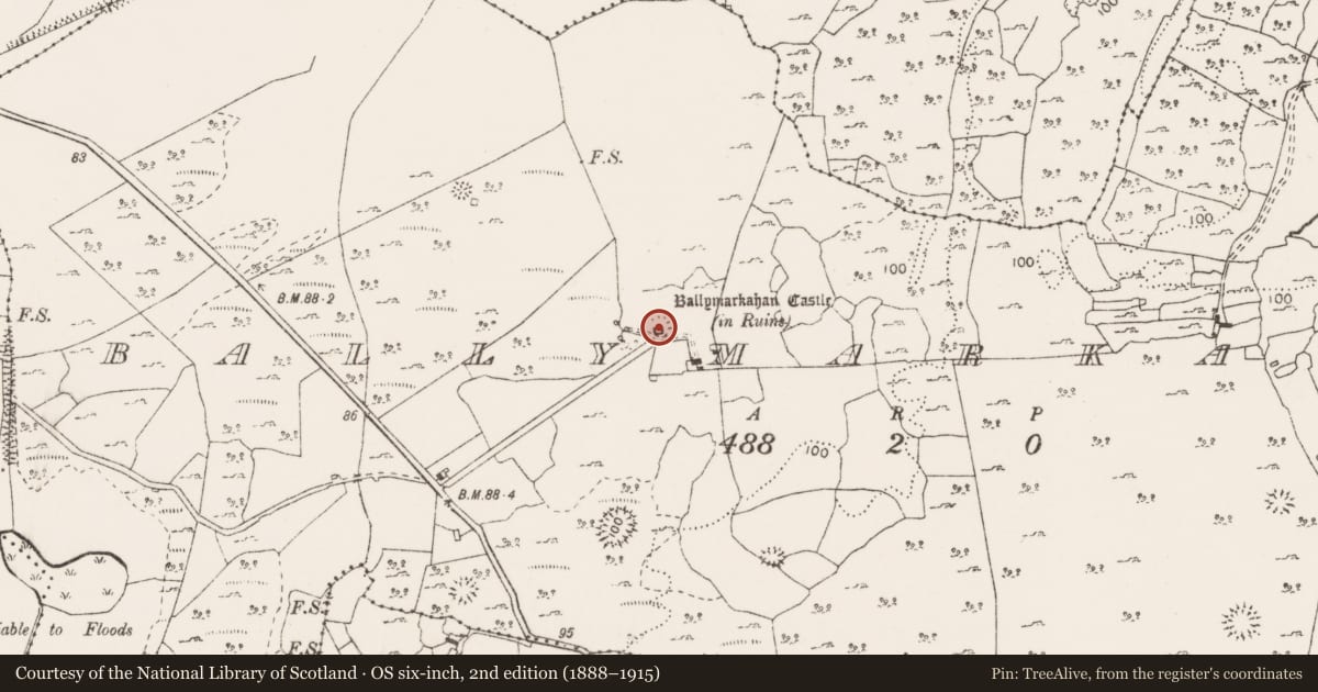 Ordnance Survey six-inch map, 2nd edition (1888–1915) covering the location of Castle - tower house, Ballymarkahan, County Clare, with a pin at the register's coordinates