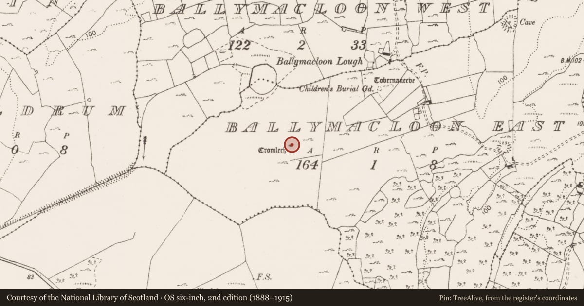 Ordnance Survey six-inch map, 2nd edition (1888–1915) covering the location of Megalithic structure, Ballymacloon East, County Clare, with a pin at the register's coordinates