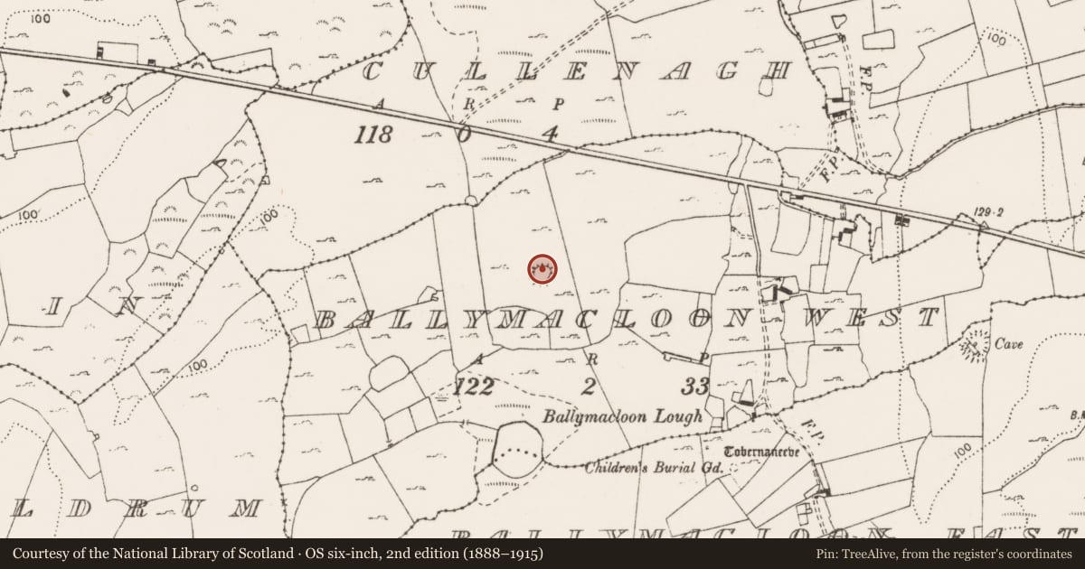 Ordnance Survey six-inch map, 2nd edition (1888–1915) covering the location of Enclosure, Ballymacloon West, County Clare, with a pin at the register's coordinates
