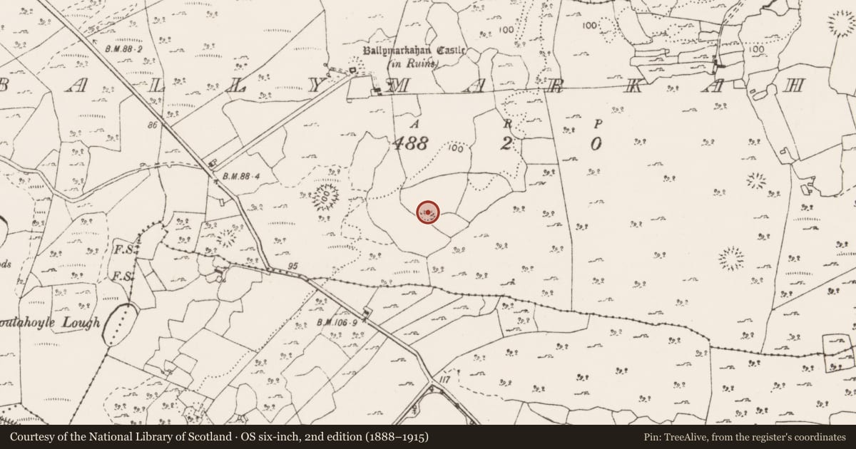 Ordnance Survey six-inch map, 2nd edition (1888–1915) covering the location of Enclosure, Ballymarkahan, County Clare, with a pin at the register's coordinates
