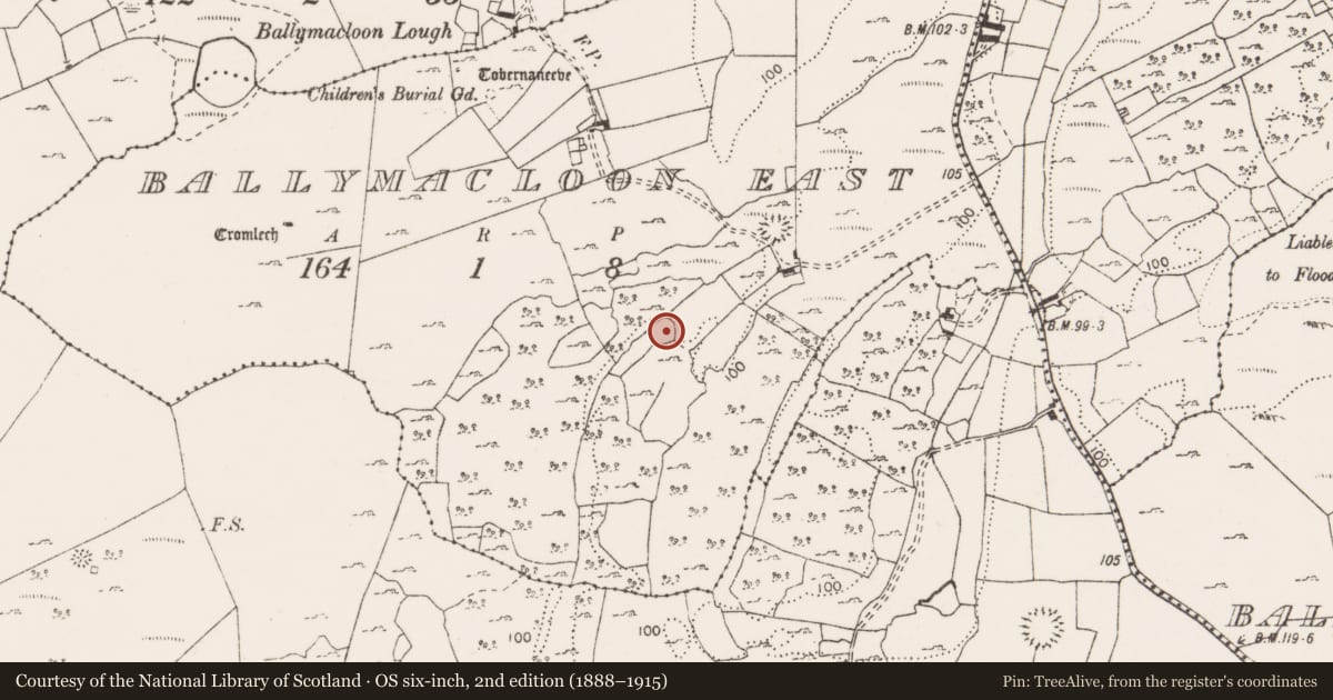 Ordnance Survey six-inch map, 2nd edition (1888–1915) covering the location of Enclosure, Ballymacloon East, County Clare, with a pin at the register's coordinates