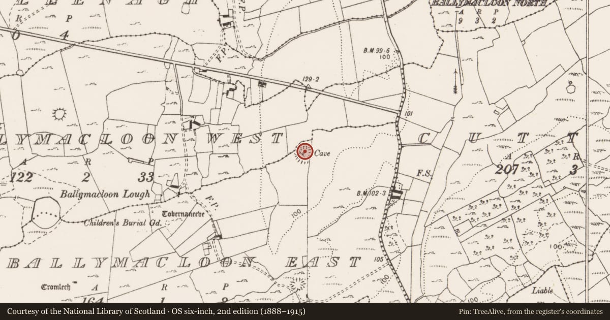Ordnance Survey six-inch map, 2nd edition (1888–1915) covering the location of Ringfort - unclassified, Ballymacloon East, County Clare, with a pin at the register's coordinates