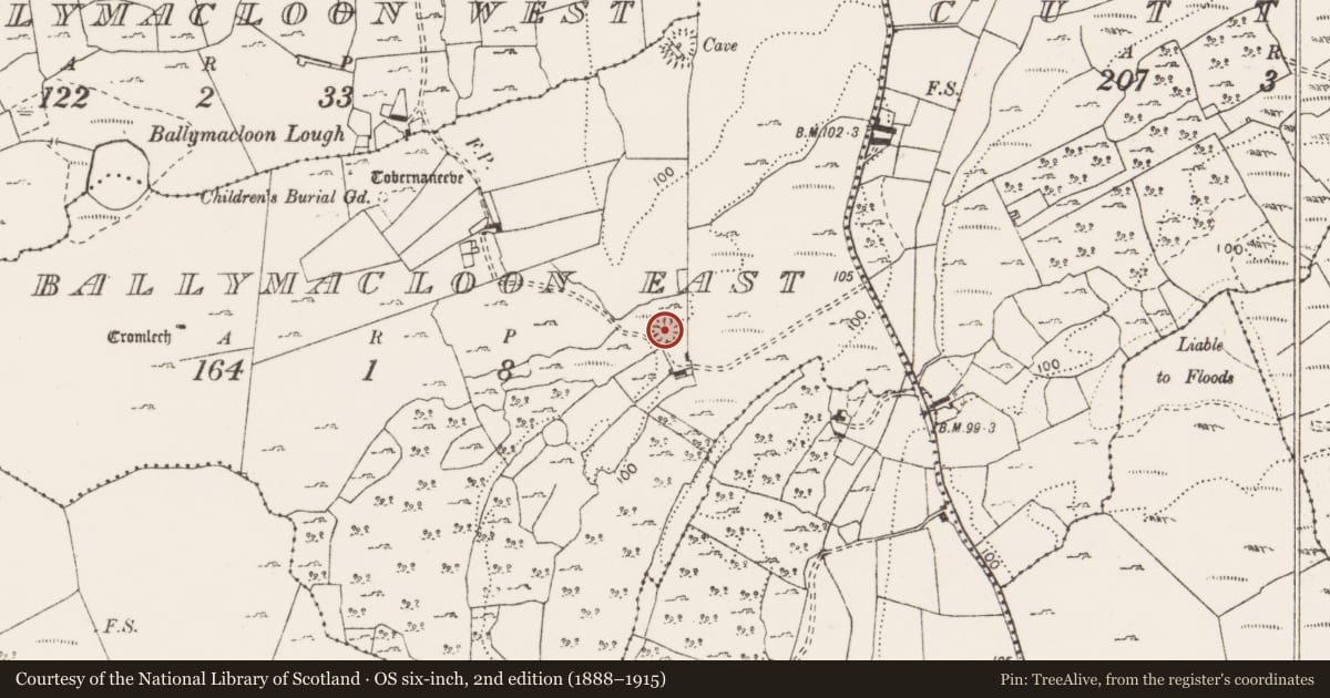 Ordnance Survey six-inch map, 2nd edition (1888–1915) covering the location of Enclosure, Ballymacloon East, County Clare, with a pin at the register's coordinates