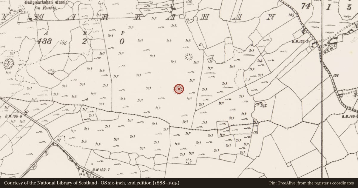 Ordnance Survey six-inch map, 2nd edition (1888–1915) covering the location of Ringfort - cashel, Ballymarkahan, County Clare, with a pin at the register's coordinates