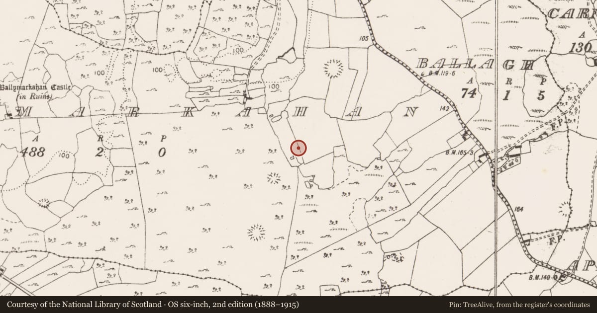 Ordnance Survey six-inch map, 2nd edition (1888–1915) covering the location of Megalithic tomb - unclassified, Ballymarkahan, County Clare, with a pin at the register's coordinates