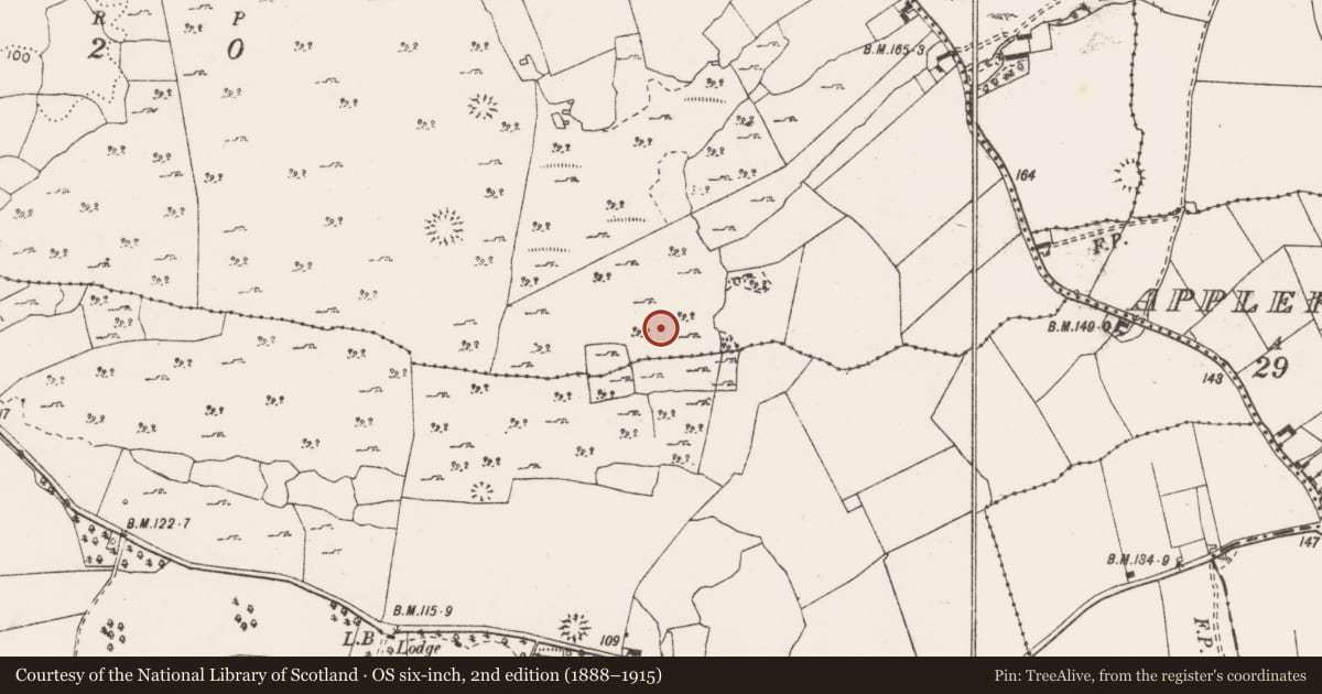 Ordnance Survey six-inch map, 2nd edition (1888–1915) covering the location of Ringfort - cashel, Ballymarkahan, County Clare, with a pin at the register's coordinates