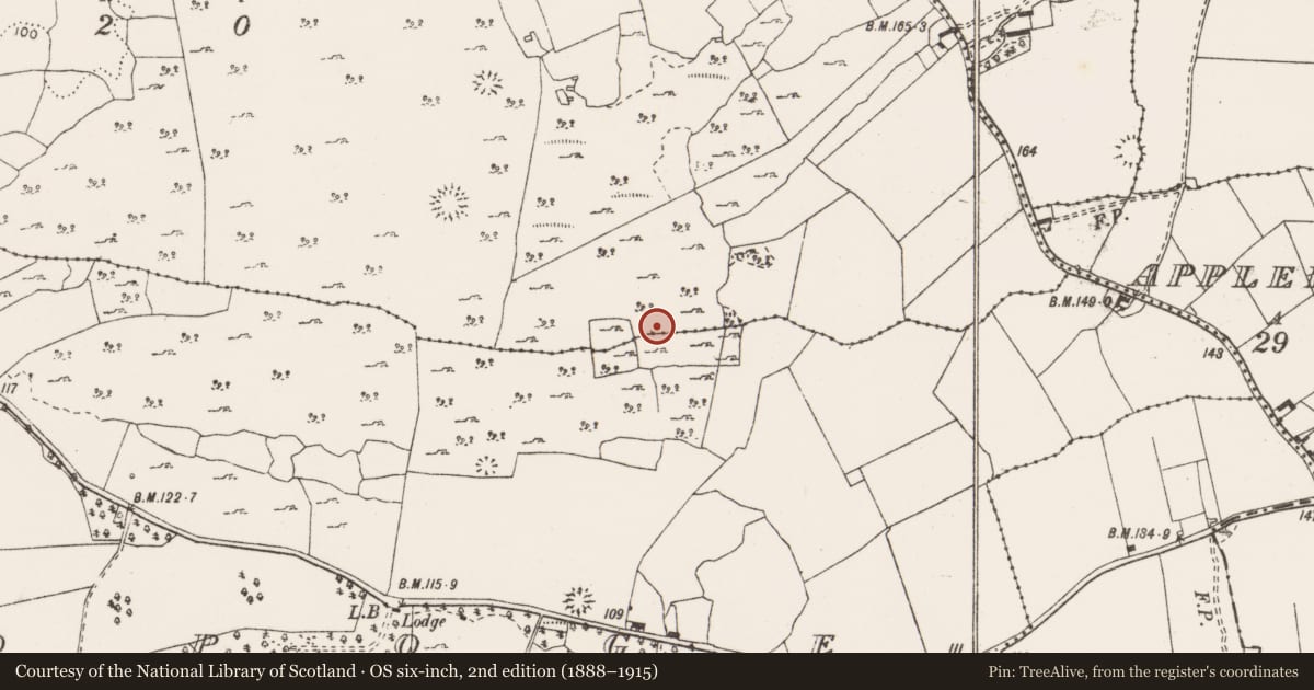 Ordnance Survey six-inch map, 2nd edition (1888–1915) covering the location of Ringfort - cashel, Ballymarkahan, County Clare, with a pin at the register's coordinates
