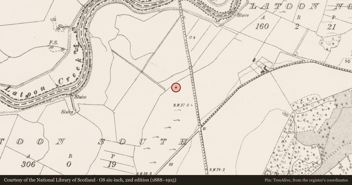 Ordnance Survey six-inch map, 2nd edition (1888–1915) covering the location of Field system, Latoon South, County Clare, with a pin at the register's coordinates