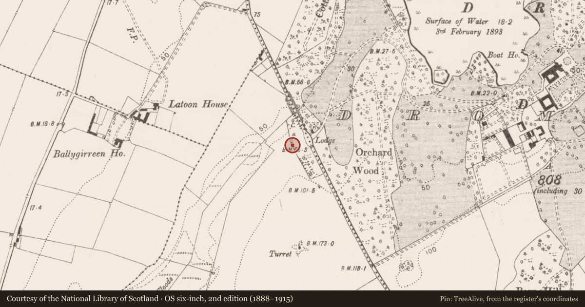 Ordnance Survey six-inch map, 2nd edition (1888–1915) covering the location of Linear earthwork, Ballyconneely, County Clare, with a pin at the register's coordinates
