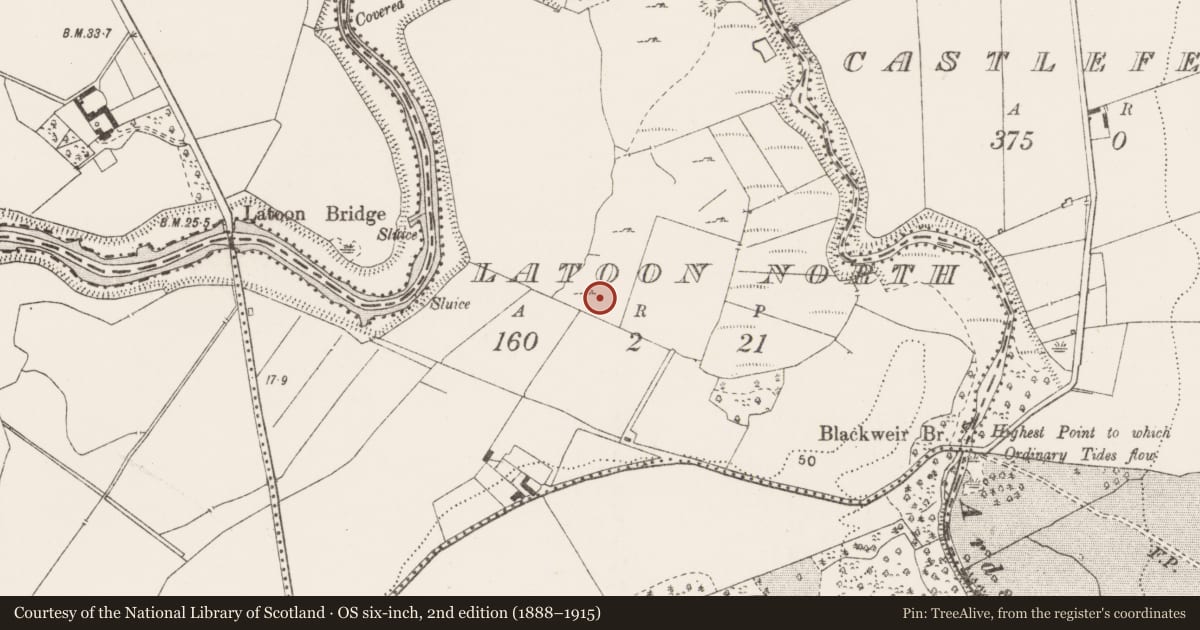 Ordnance Survey six-inch map, 2nd edition (1888–1915) covering the location of Ringfort - rath, Latoon North, County Clare, with a pin at the register's coordinates