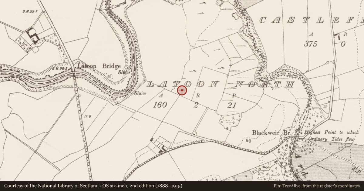 Ordnance Survey six-inch map, 2nd edition (1888–1915) covering the location of Enclosure, Latoon North, County Clare, with a pin at the register's coordinates