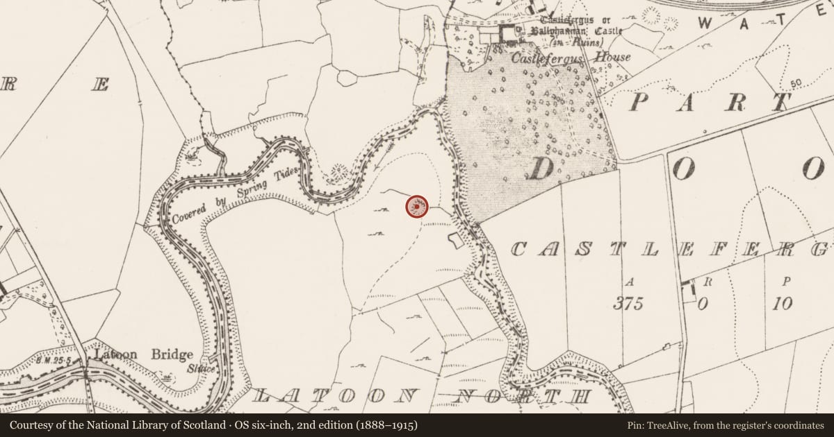 Ordnance Survey six-inch map, 2nd edition (1888–1915) covering the location of Ringfort - cashel, Latoon North, County Clare, with a pin at the register's coordinates