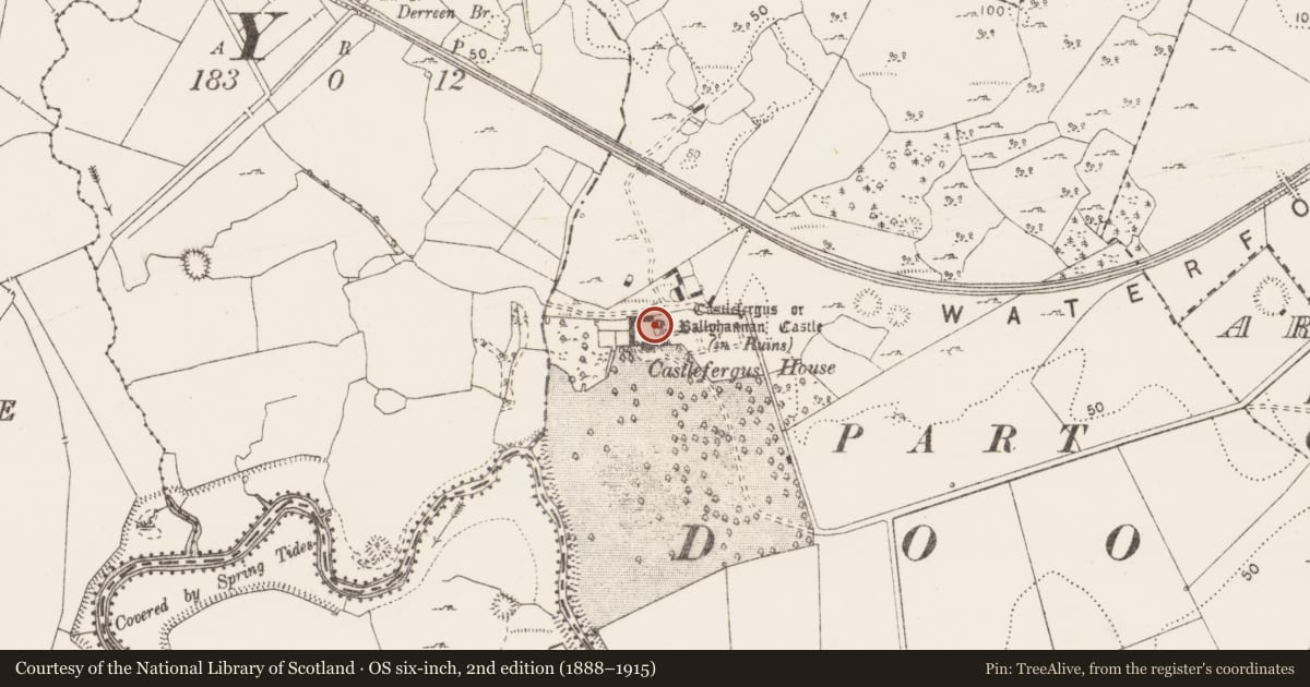 Ordnance Survey six-inch map, 2nd edition (1888–1915) covering the location of Castle - tower house, Castlefergus, County Clare, with a pin at the register's coordinates