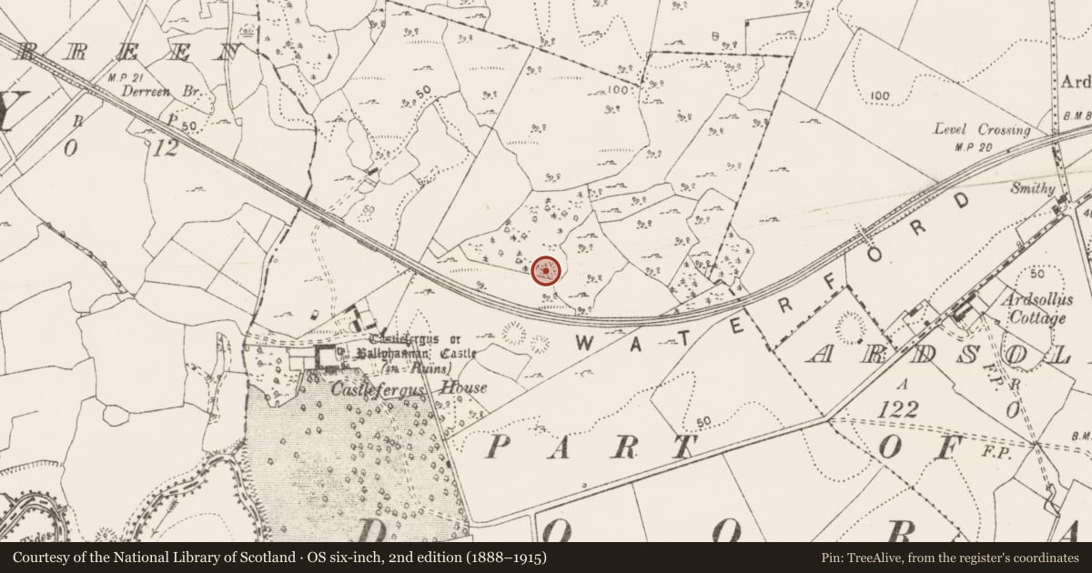 Ordnance Survey six-inch map, 2nd edition (1888–1915) covering the location of Enclosure, Castlefergus, County Clare, with a pin at the register's coordinates