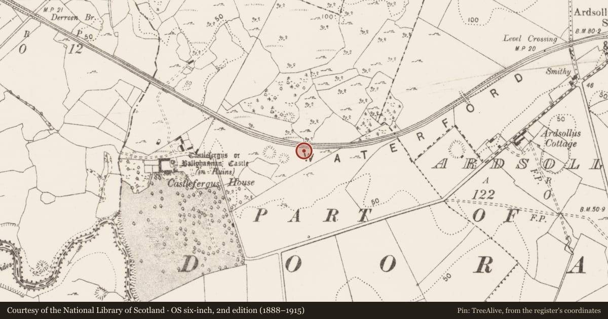 Ordnance Survey six-inch map, 2nd edition (1888–1915) covering the location of Enclosure, Castlefergus, County Clare, with a pin at the register's coordinates