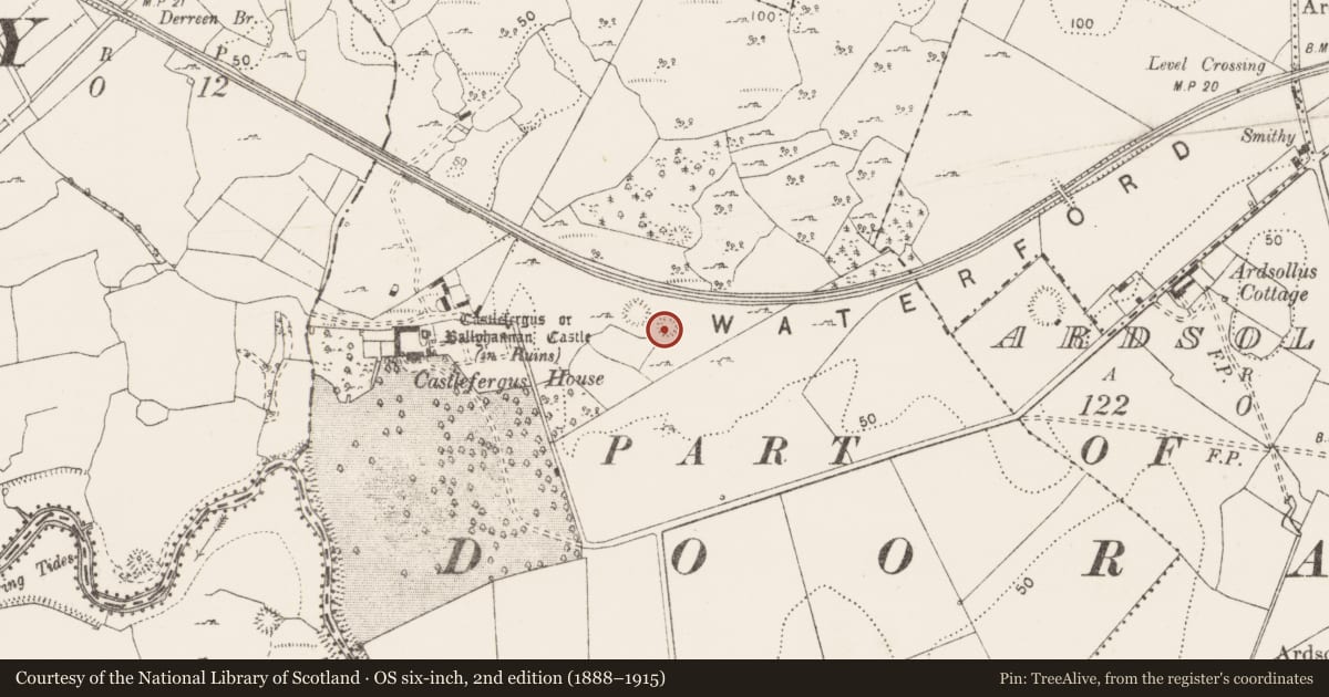 Ordnance Survey six-inch map, 2nd edition (1888–1915) covering the location of Enclosure, Castlefergus, County Clare, with a pin at the register's coordinates