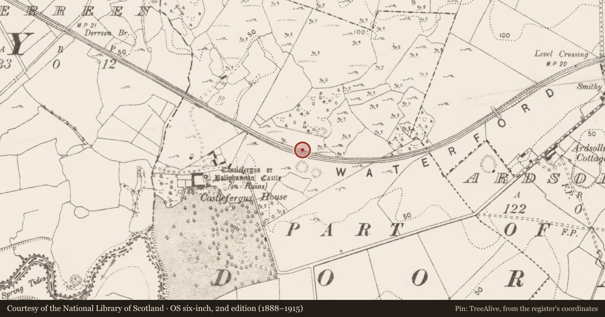 Ordnance Survey six-inch map, 2nd edition (1888–1915) covering the location of Enclosure, Castlefergus, County Clare, with a pin at the register's coordinates