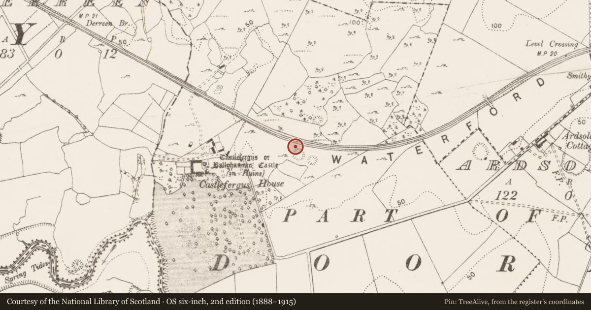 Ordnance Survey six-inch map, 2nd edition (1888–1915) covering the location of Enclosure, Castlefergus, County Clare, with a pin at the register's coordinates
