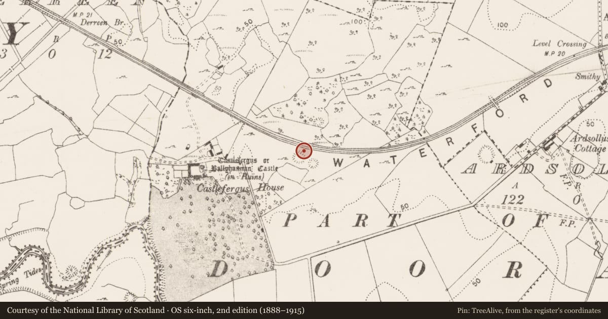 Ordnance Survey six-inch map, 2nd edition (1888–1915) covering the location of Hut site, Castlefergus, County Clare, with a pin at the register's coordinates