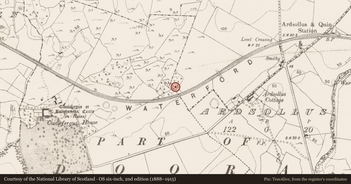 Ordnance Survey six-inch map, 2nd edition (1888–1915) covering the location of Enclosure, Carrowmeer, Castlefergus, County Clare, with a pin at the register's coordinates