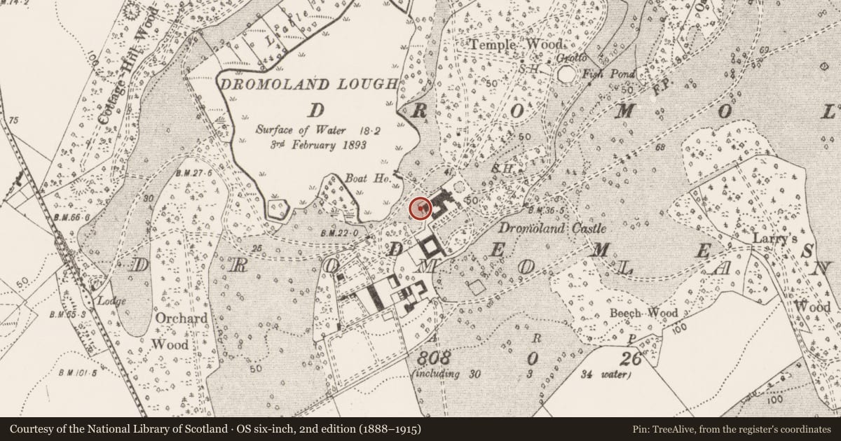 Ordnance Survey six-inch map, 2nd edition (1888–1915) covering the location of Castle - unclassified, Dromoland, County Clare, with a pin at the register's coordinates