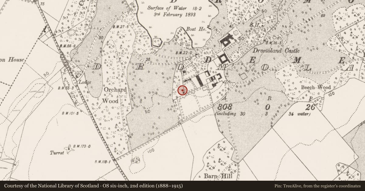 Ordnance Survey six-inch map, 2nd edition (1888–1915) covering the location of Bee-boles, Dromoland, County Clare, with a pin at the register's coordinates
