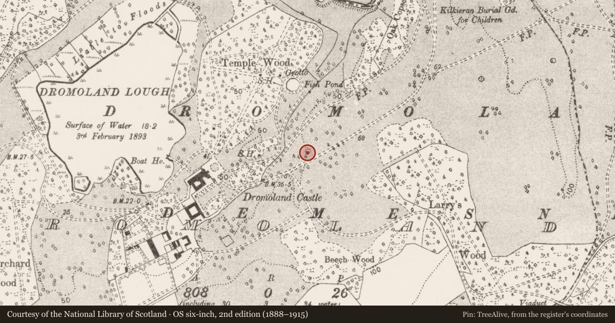 Ordnance Survey six-inch map, 2nd edition (1888–1915) covering the location of Mound, Dromoland, County Clare, with a pin at the register's coordinates